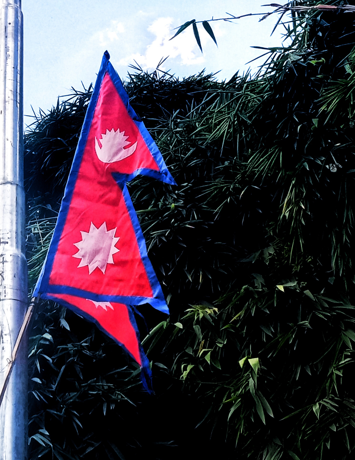 राष्ट्रिय प्रजातन्त्र दिवस