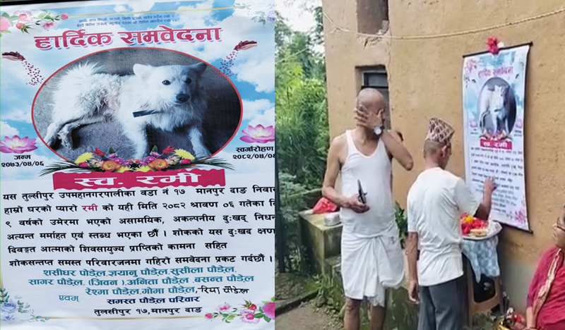 जनप्रतिनिधिको अनौठो कर्म,कुकुर मरेपछि नौ दिनसम्म काजकिरिया